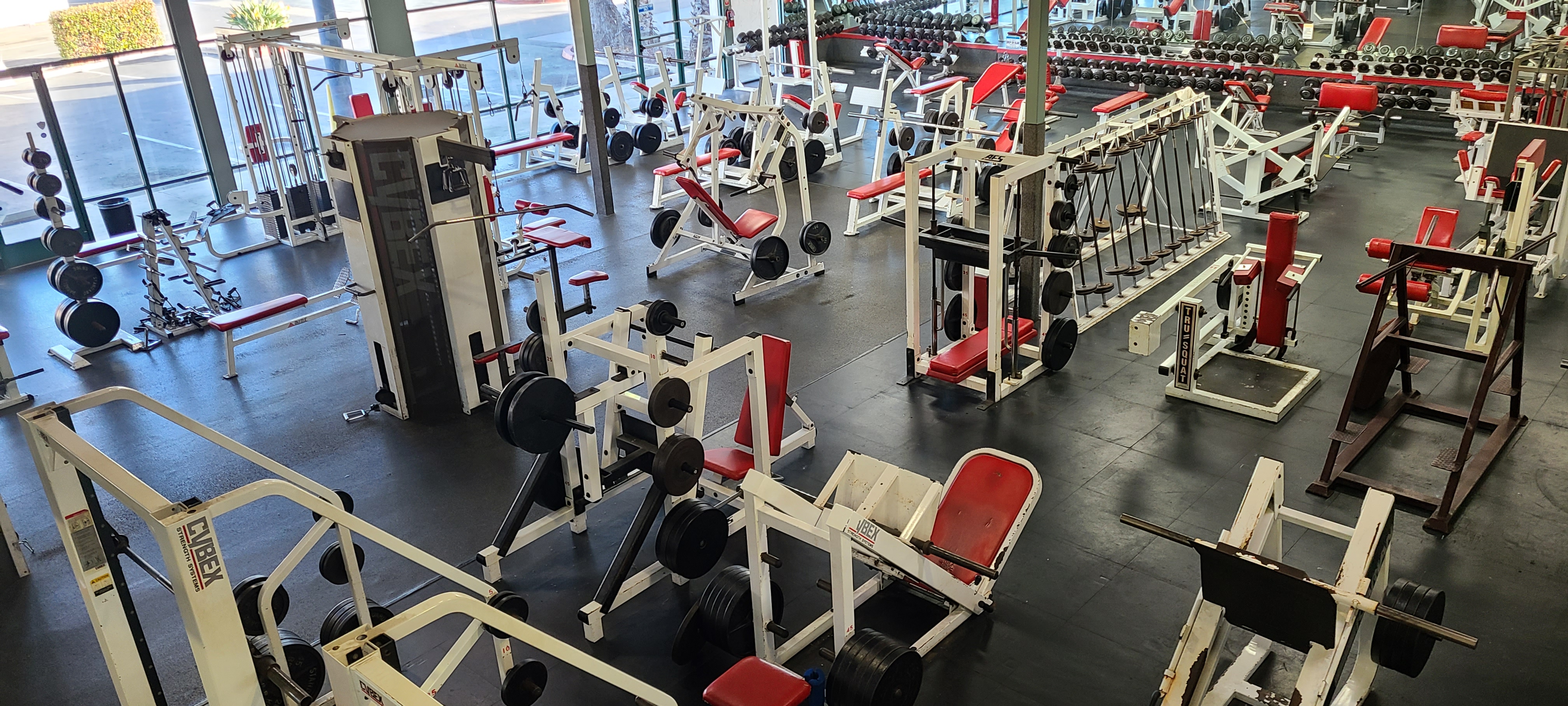 Training machines, benches and racks across the Ultimate Fitness gym floor.