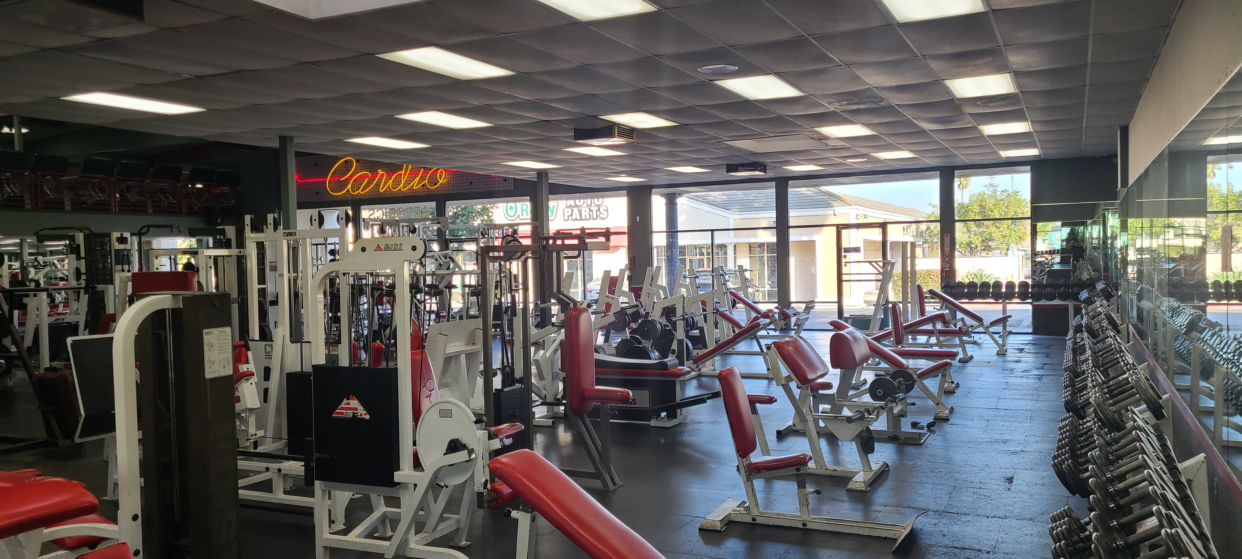 The training floor at Ultimate Fitness with racks, benches and strength equipment.