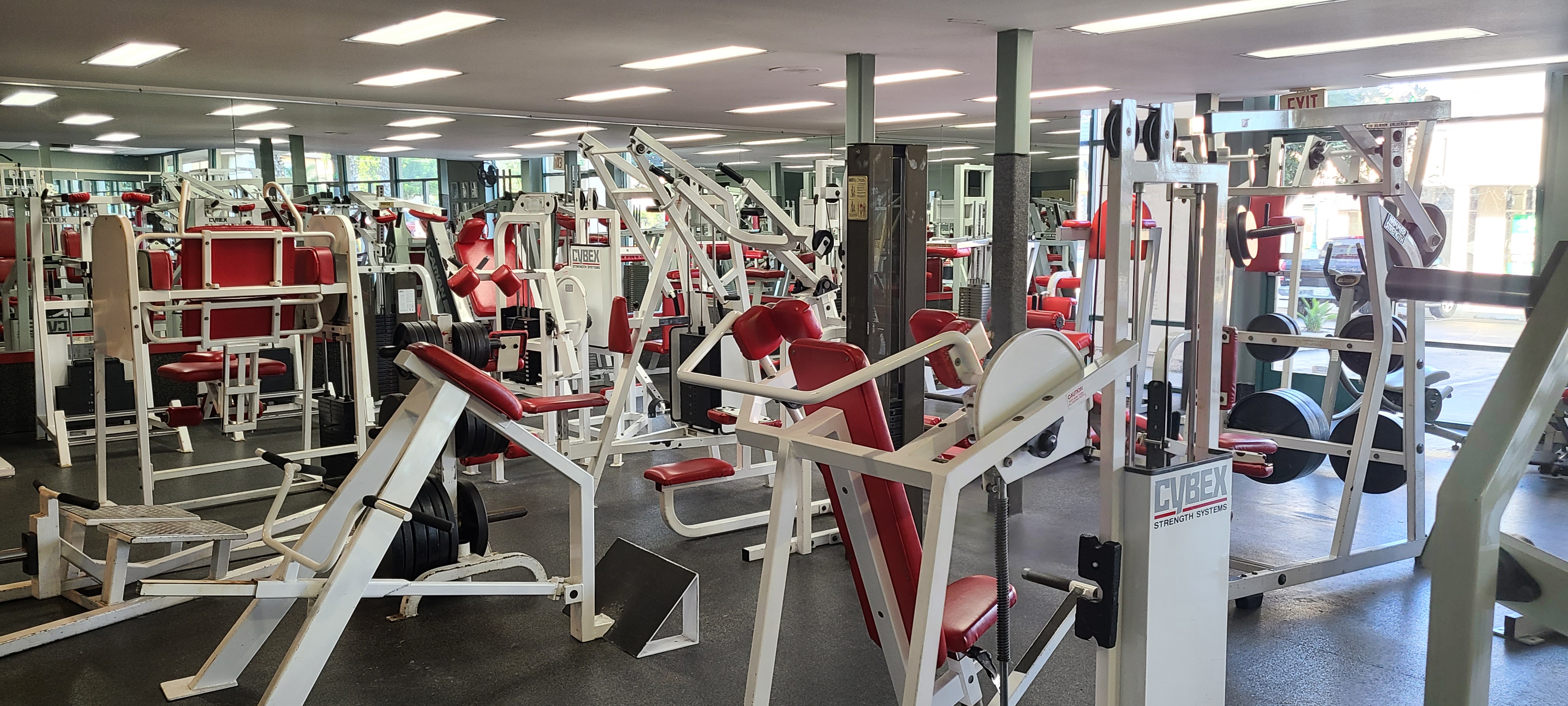 The main training floor at Ultimate Fitness, with benches and racks ready for use.